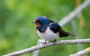 Galerie_AdobeStock_284287352